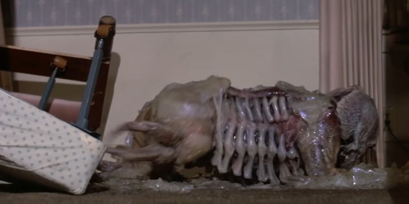 Every Single Noble Craig Horror Movie Creature Ranked