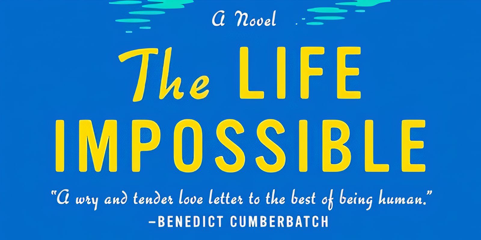 The cover of The Life Impossible