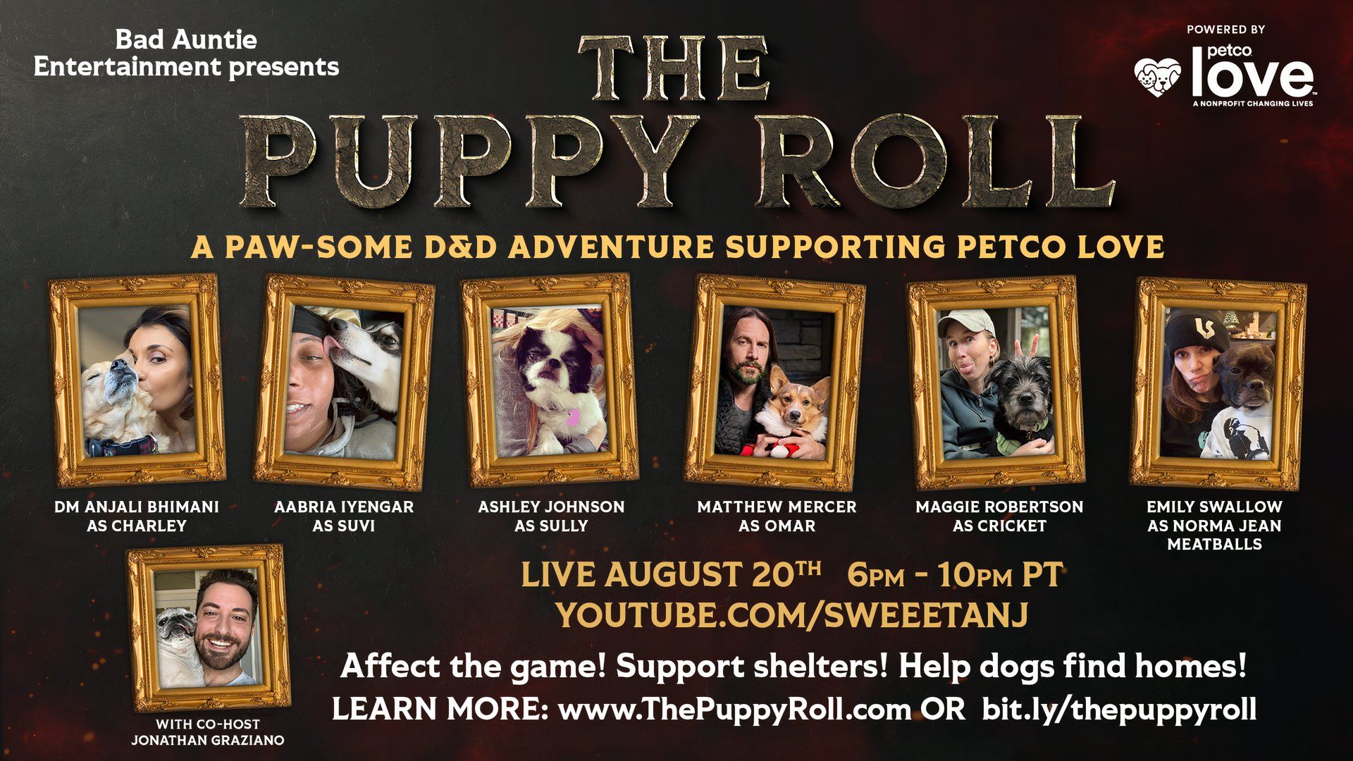 Critical Role, Dimension 20 & Star Wars Stars Join Anjali Bhimani For The Puppy Roll Charity Stream