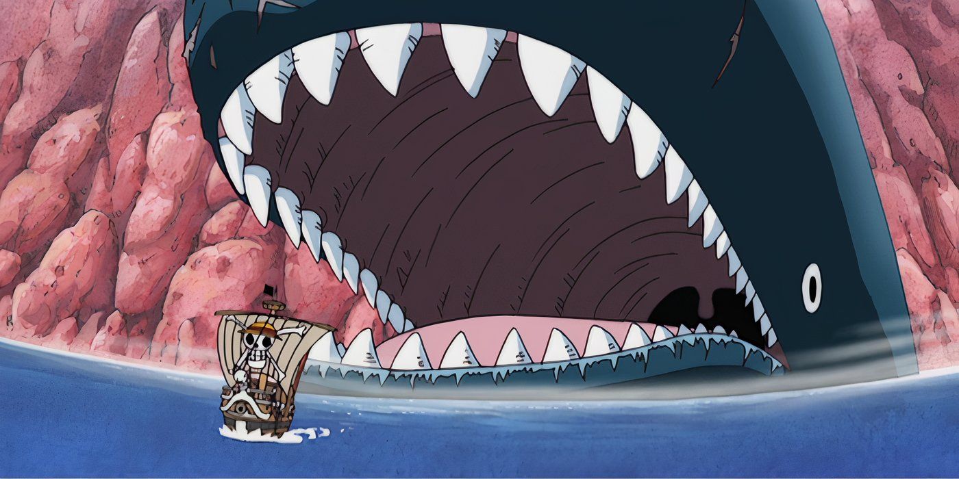 The Straw Hat Pirates sailing near Laboon the giant whale with its mouth open in the One Piece anime.