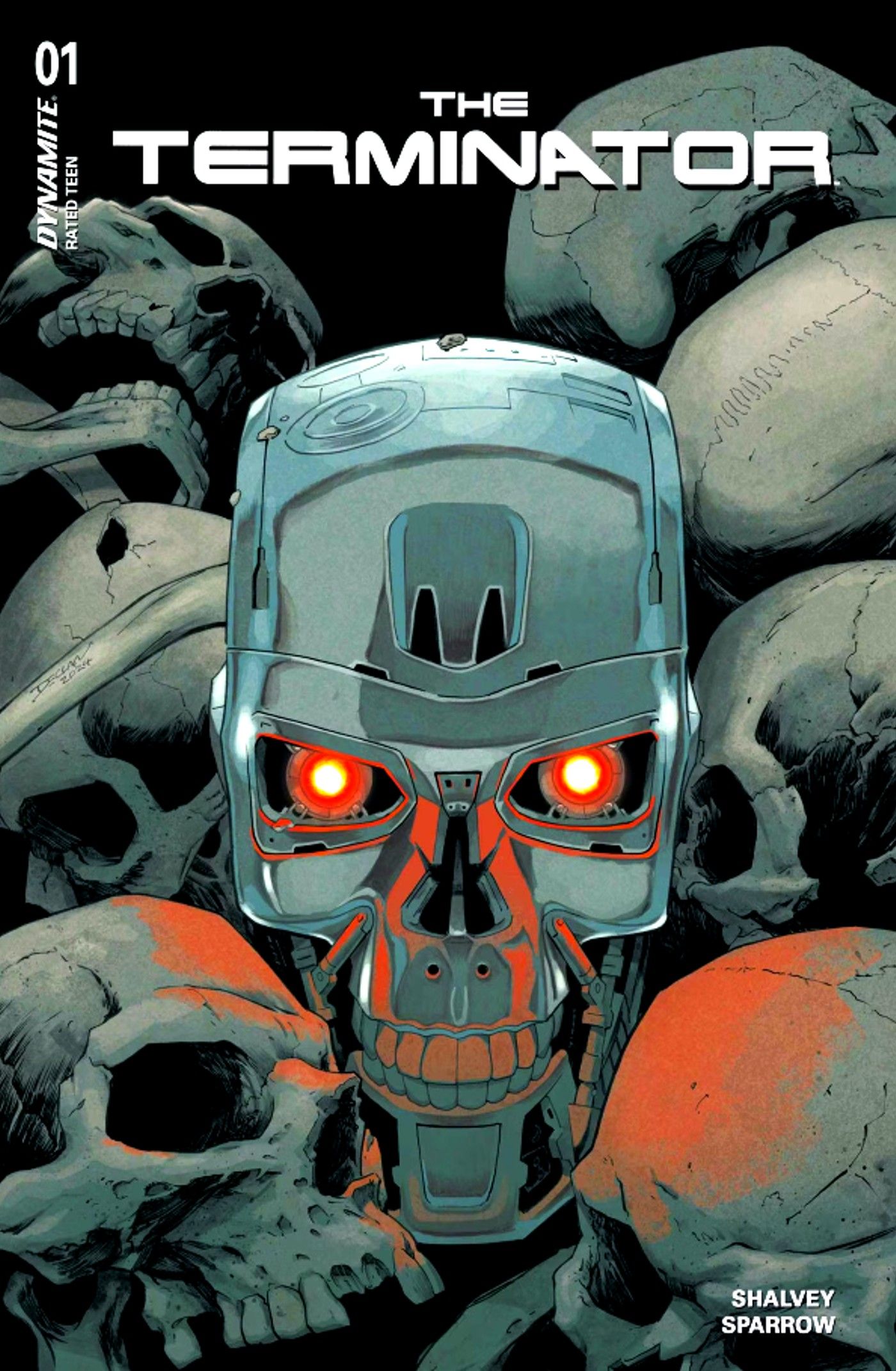 the terminator 1 comic cover - a t-800 head among skulls