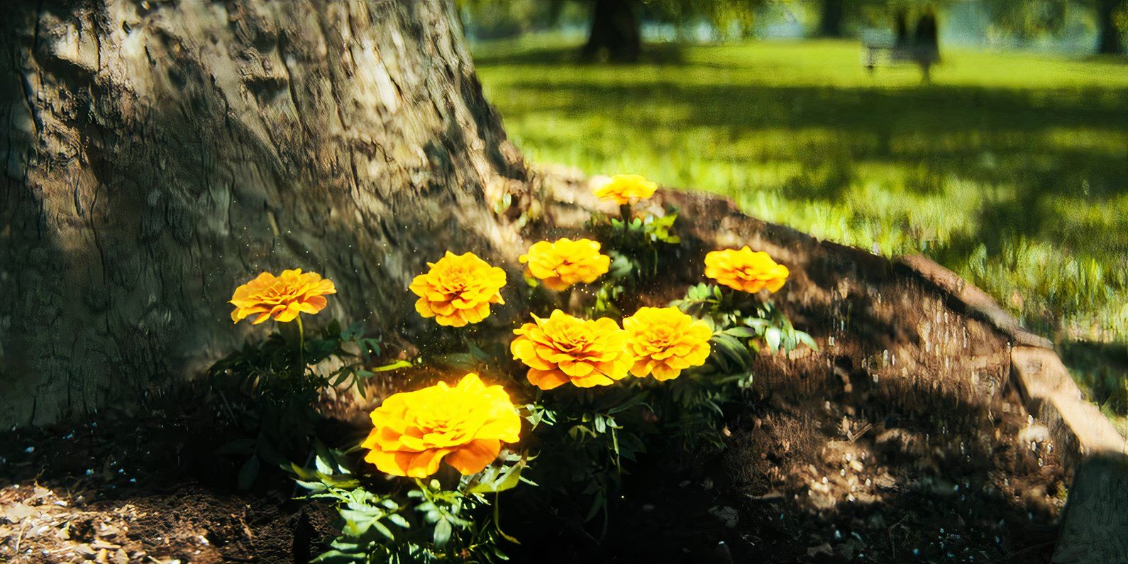 Yellow flowers in the mid-credits scene of the fourth season of The Umbrella Academy.