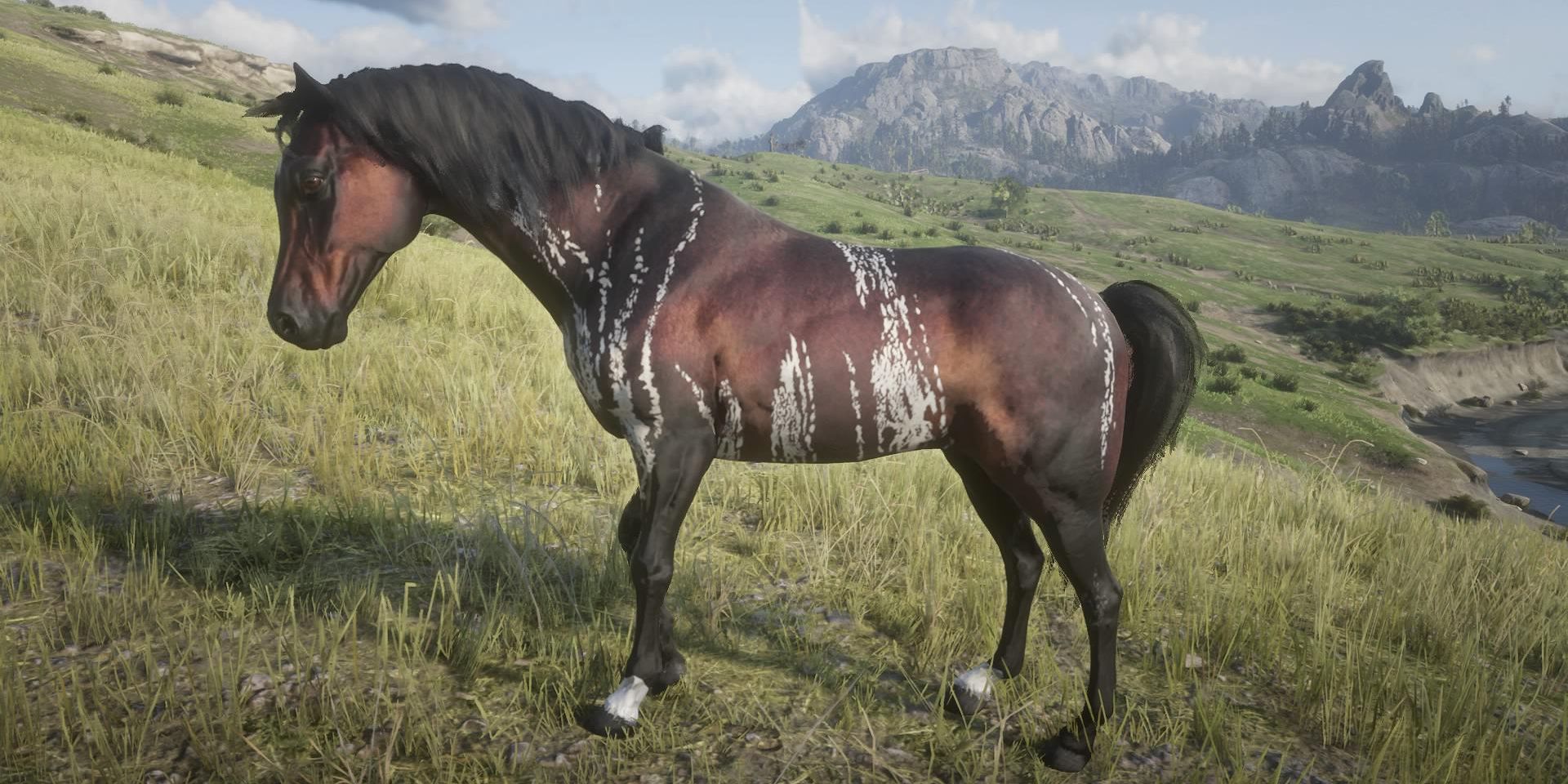 Best Horses You Can Get For Free In RDR2, Ranked