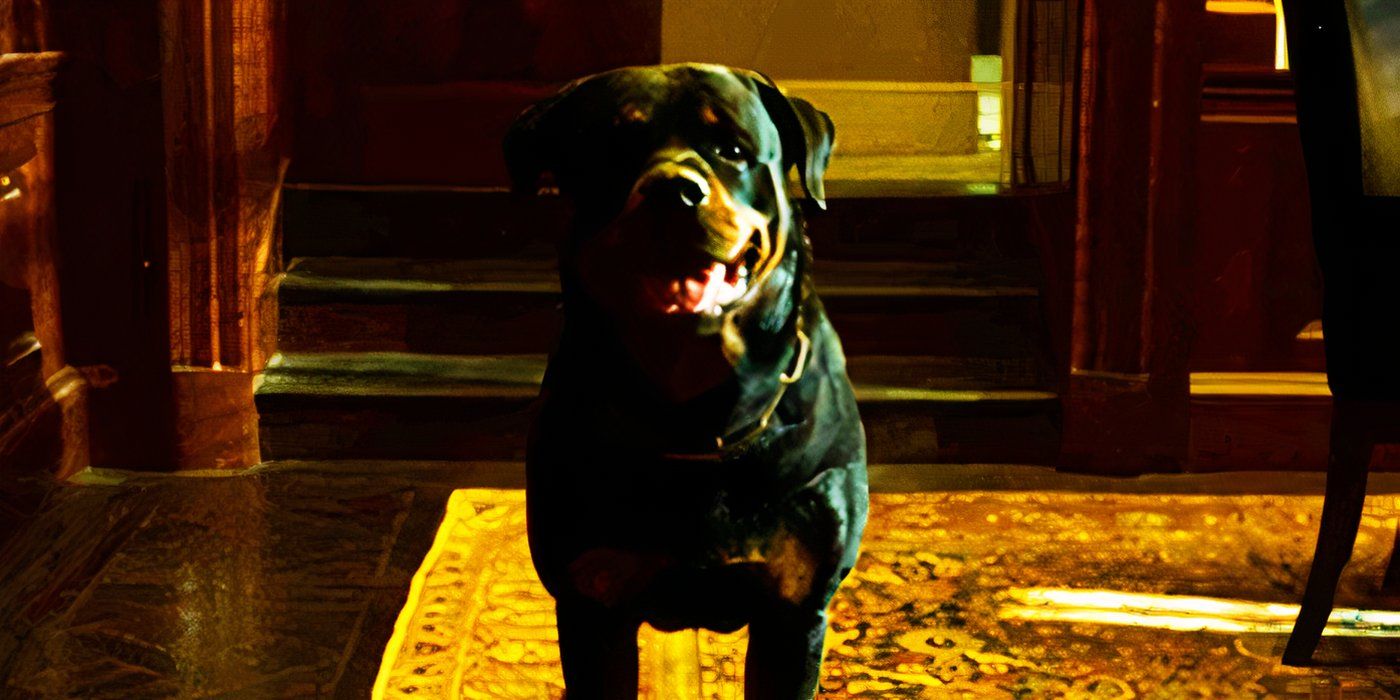 Every Pet Dog In The MCU, Ranked By How Willing We'd Be To Take A Bullet For Them