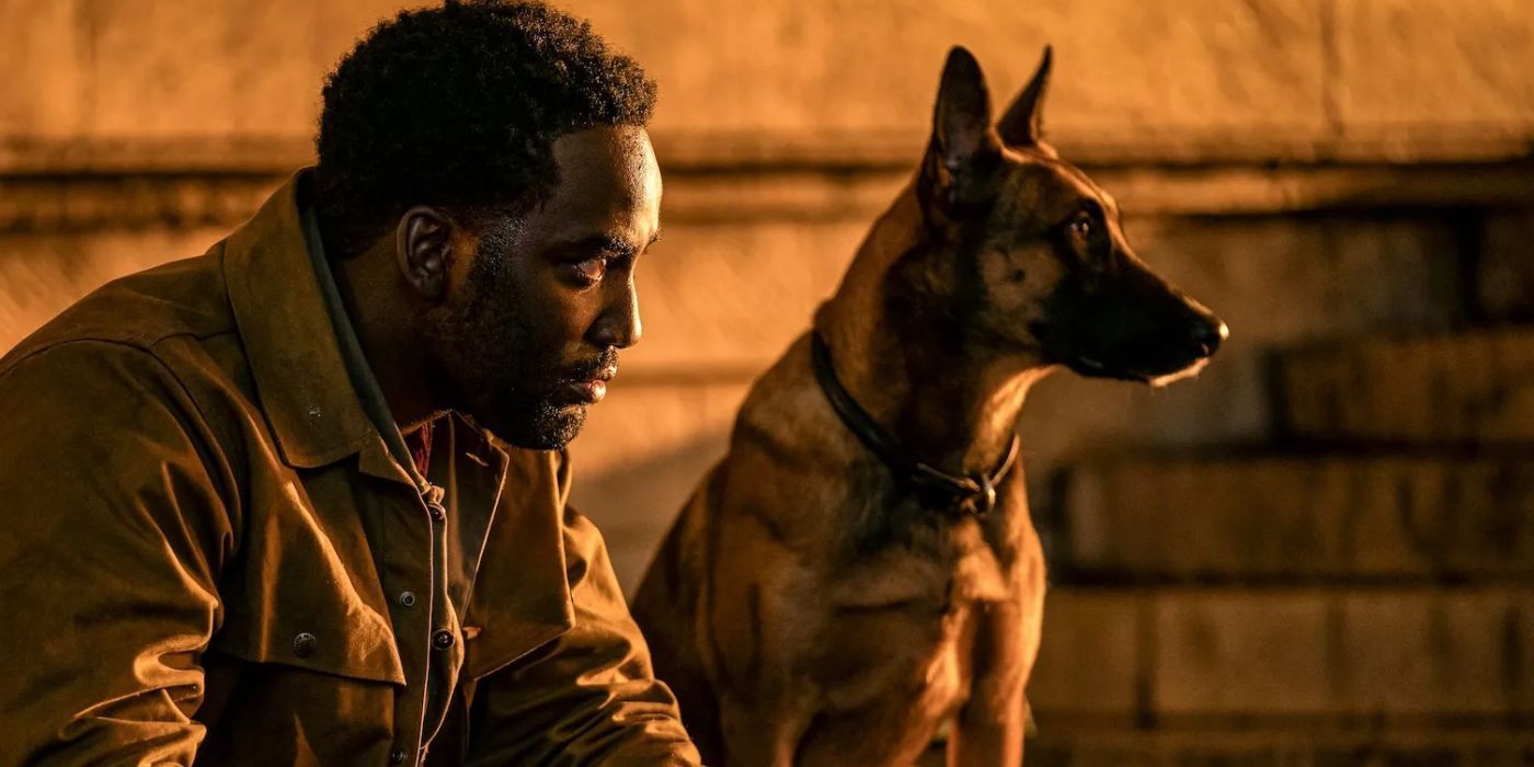 12 Things You Didn't Know About John Wick's Dogs