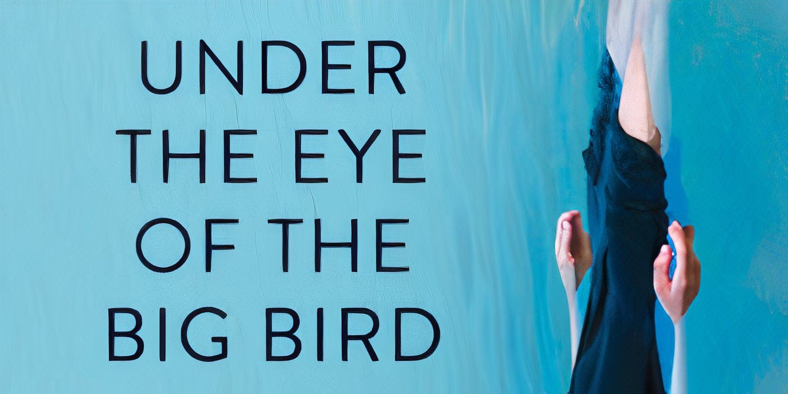 The cover of Under the Eye of the Big Bird