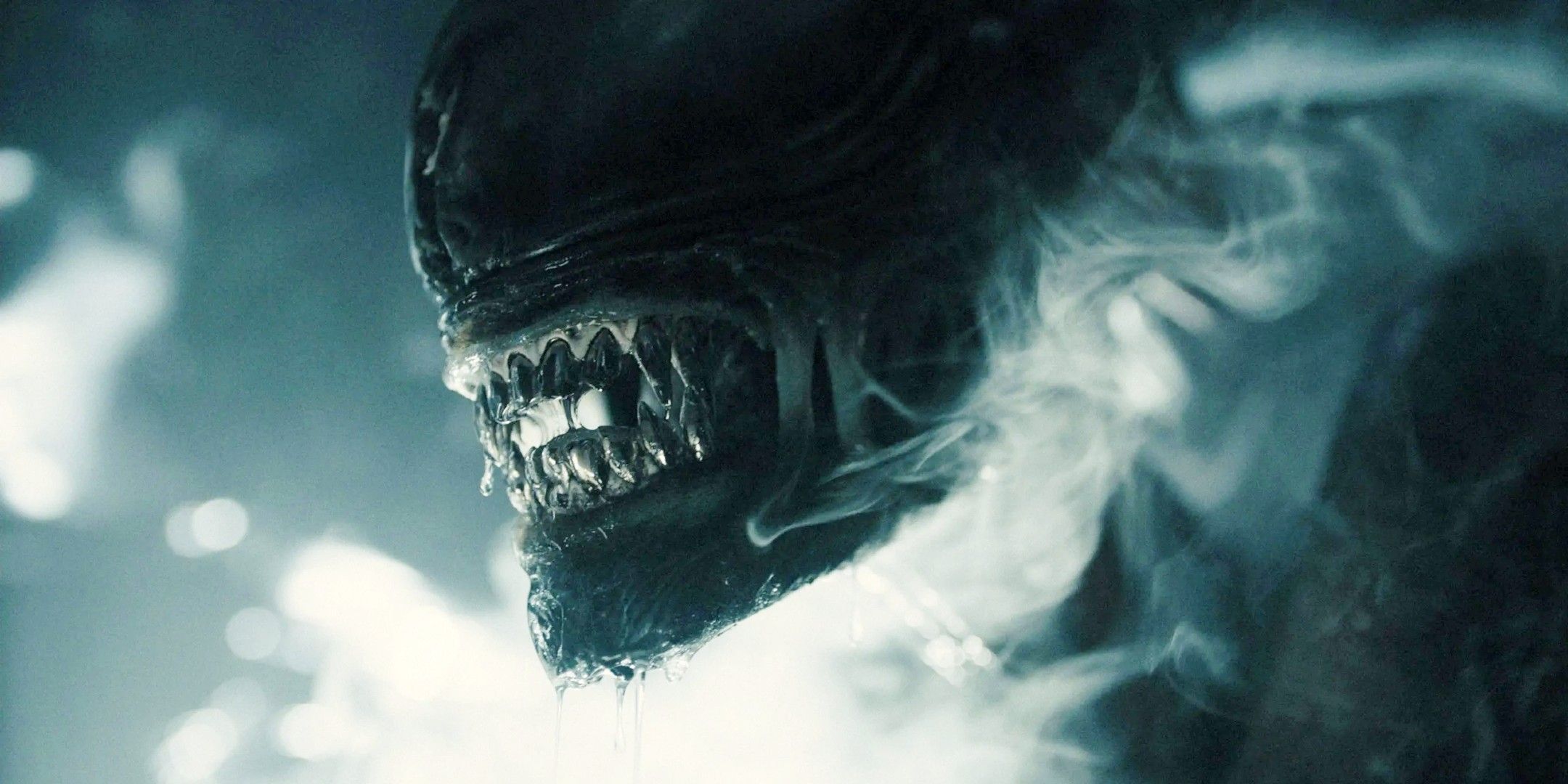 A Xenomorph looking menacing in Alien: Romulus