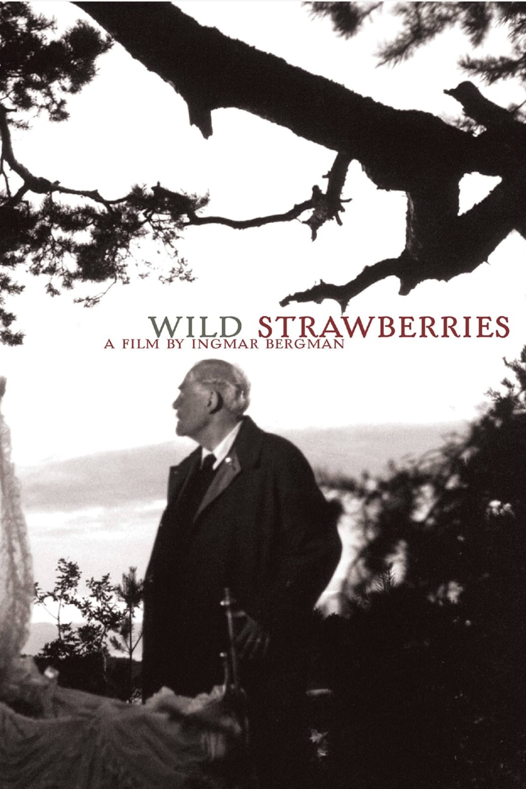 wild-strawberries-summary-latest-news-trailer-cast-where-to-watch