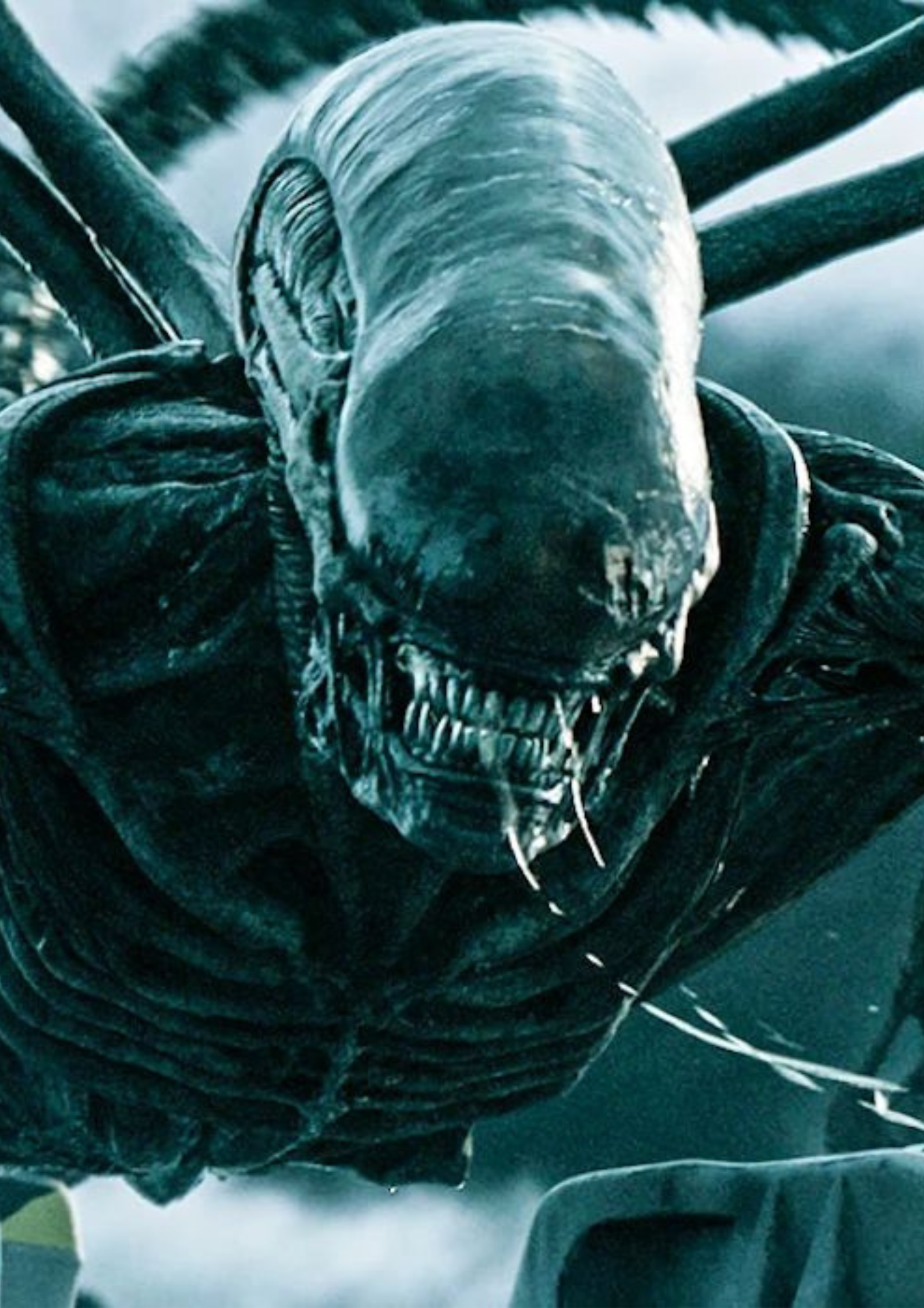 Xenomorph in Alien Covenant (2017)