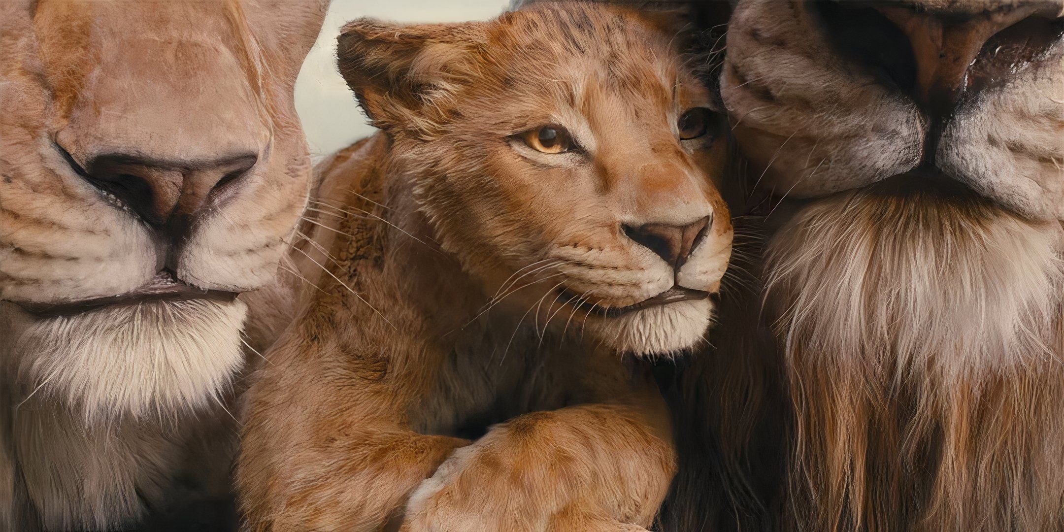 Un Mufasa joven anida con leones mayores en la Mufasa del Rey León