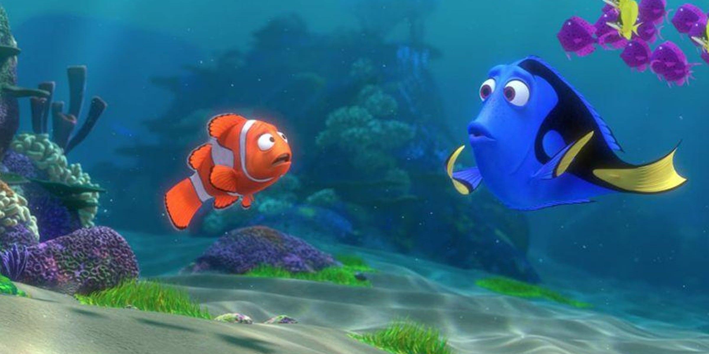 Marlin and Dory looking confused in Finding Nemo