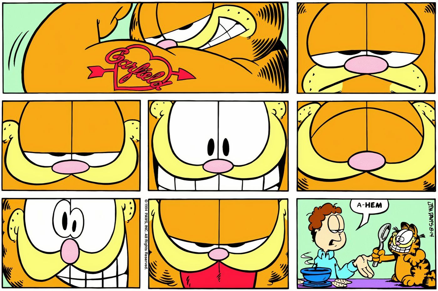 Garfield making faces at himself in a spoon's reflection.