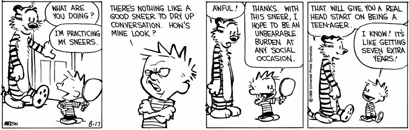 Calvin showing Hobbes his sneer.