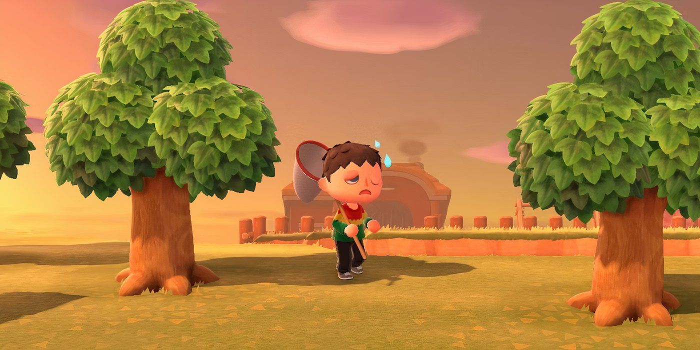 Longtime Animal Crossing Player Discovers They've Been Catching Bugs Wrong This Entire Time