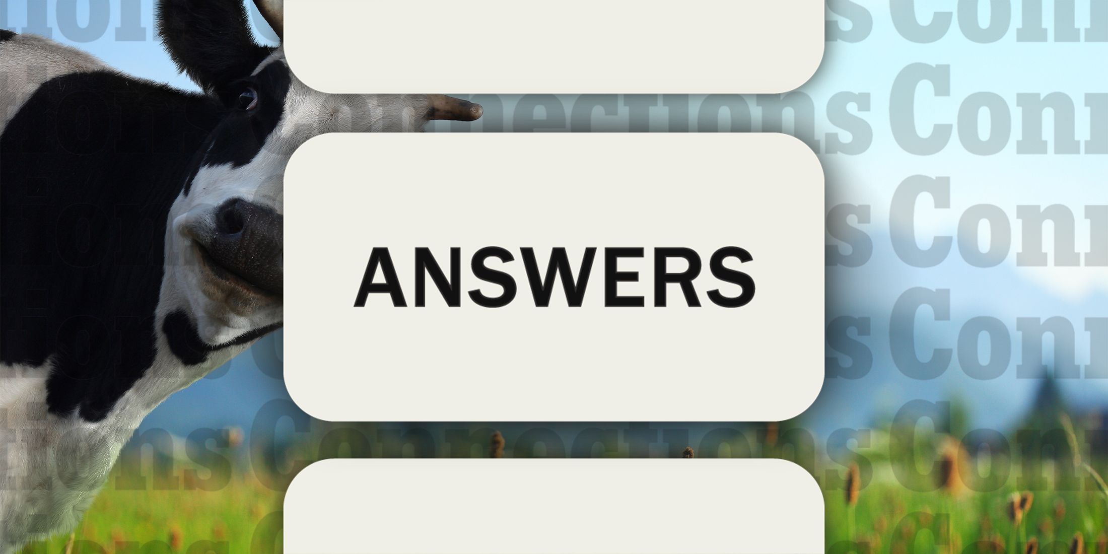 A cow in Connections Answers September 13
