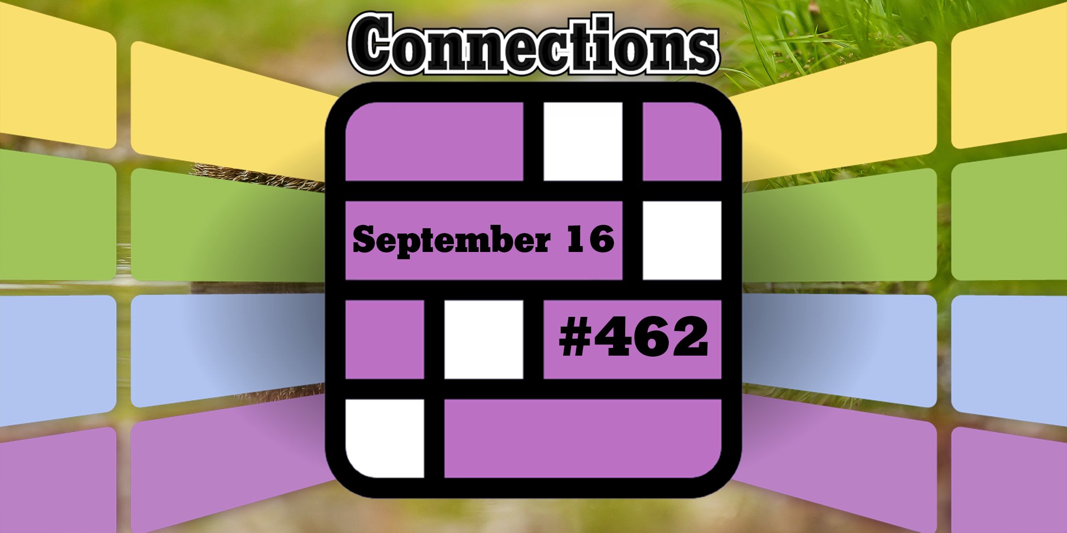A hedgehog in Connections Header September 16