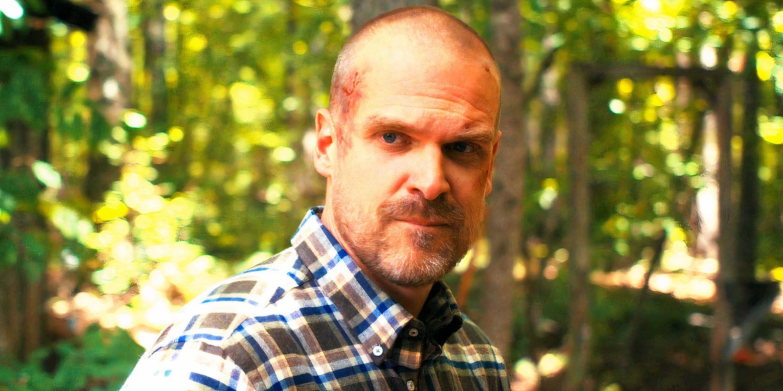 David Harbour looking serious as Jim Hopper in Stranger Things season 4