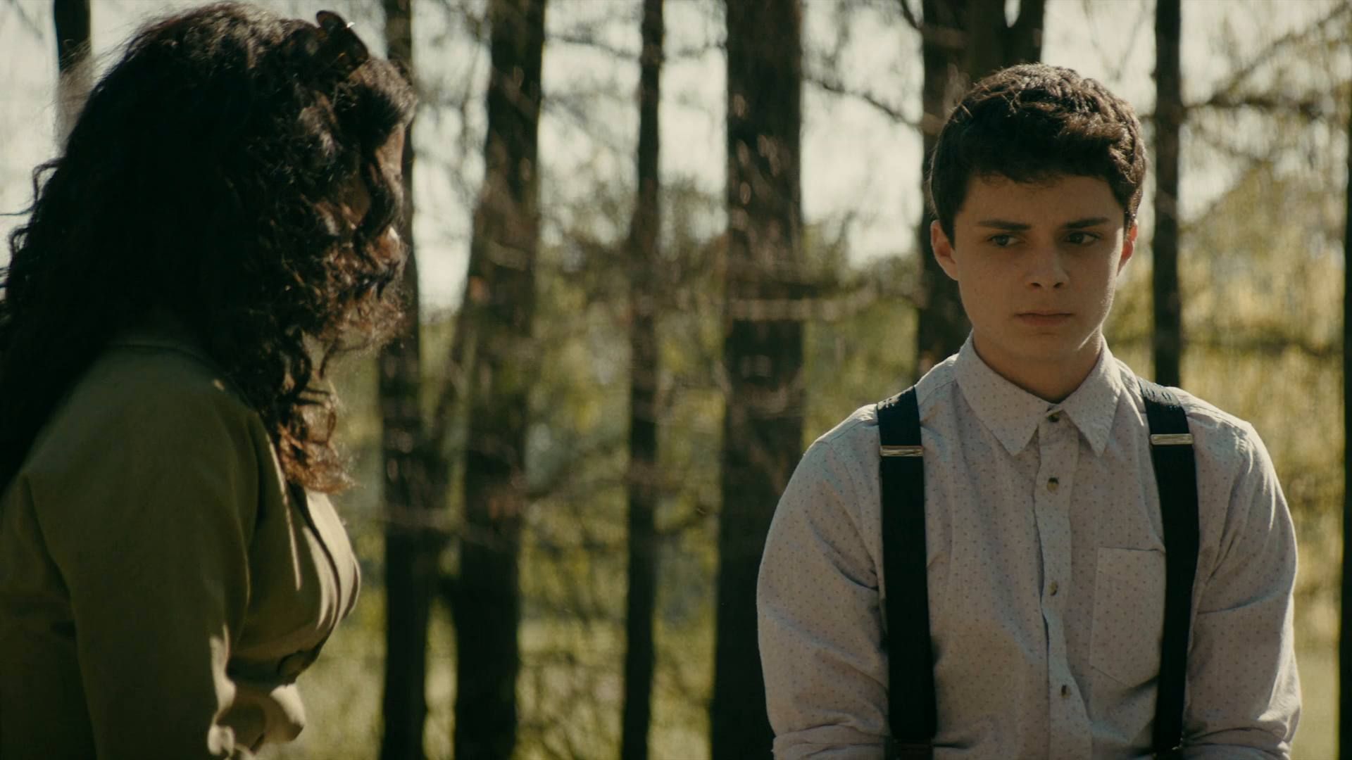 Dr. Bird's Advice For Sad Poets Summary, Latest News, Trailer, Cast