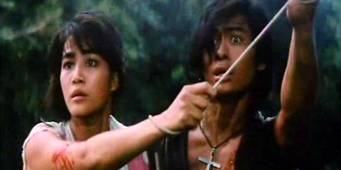 Siu-Wong Fan's 10 Best Kung Fu Movies