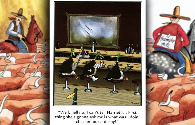 far side comic where a duck complains about being shot while checking out a decoy