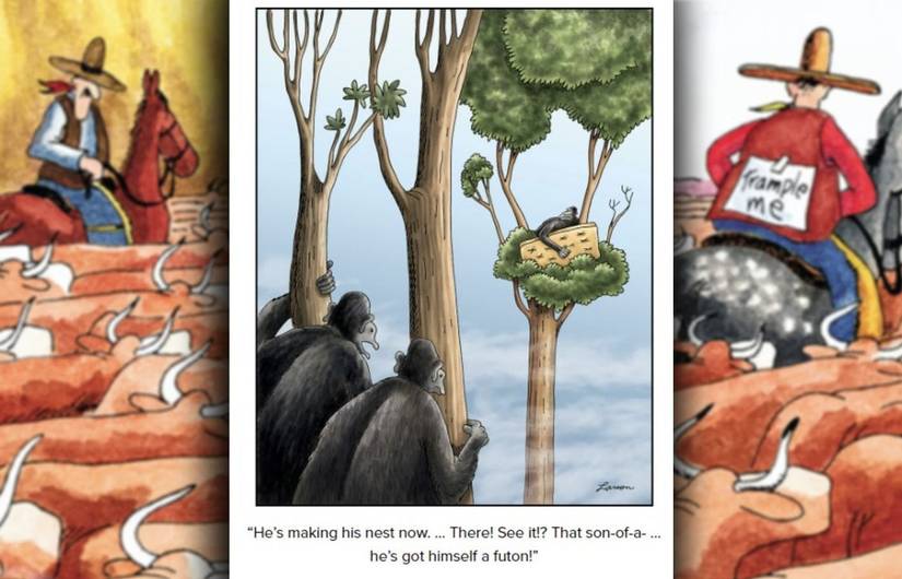 far side comic where a gorilla has a futon