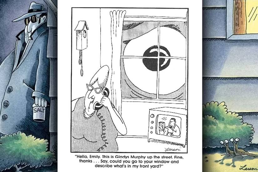far side giant eye at window-1
