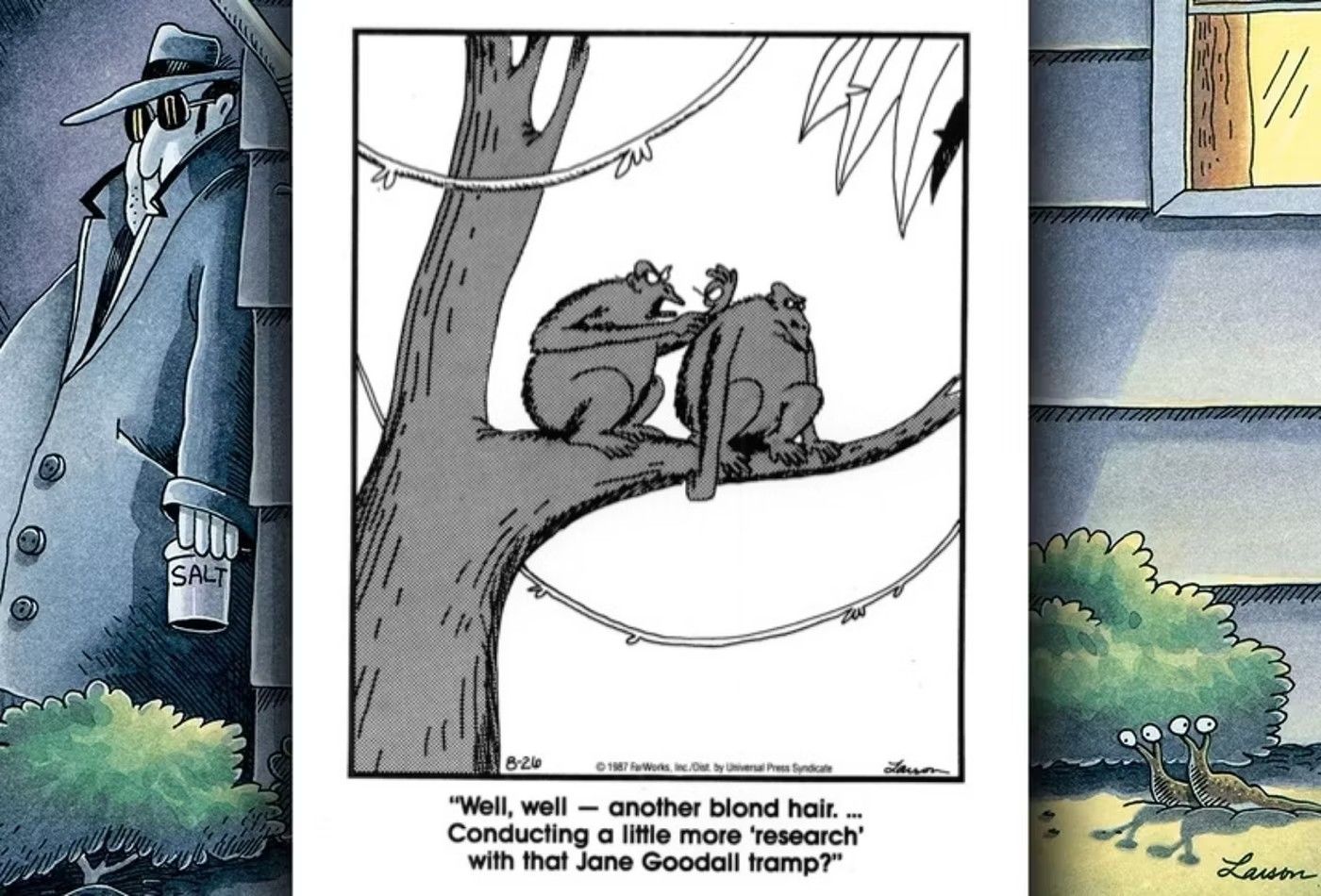 El otro lado de los cómics de Jane Goodall