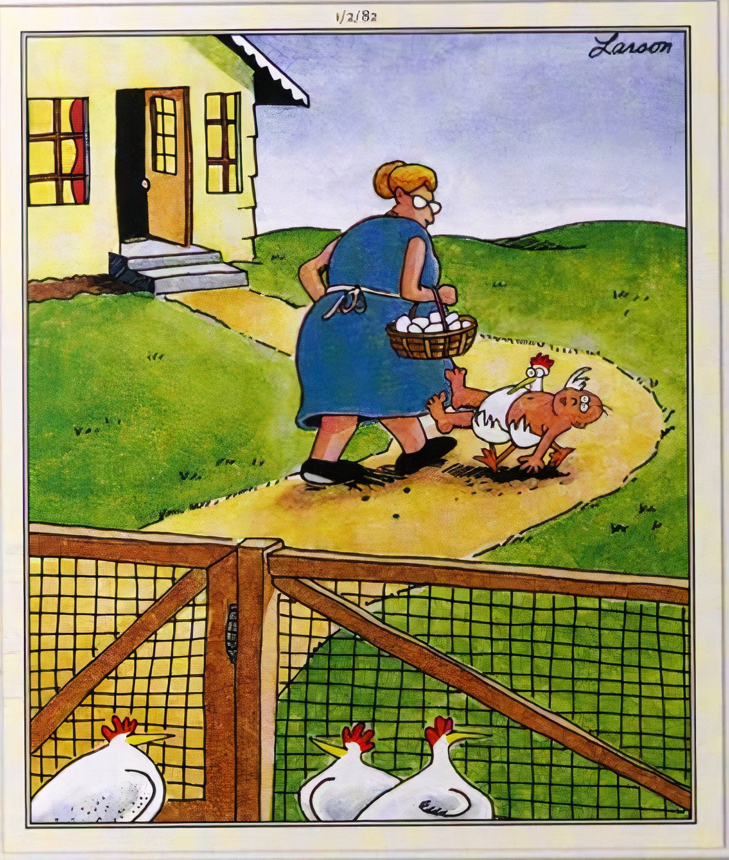 Far Side, 2 de janeiro de 1982, uma mulher carregando ovos frescos para dentro de casa passa por uma galinha carregando seu filhote para o galinheiro