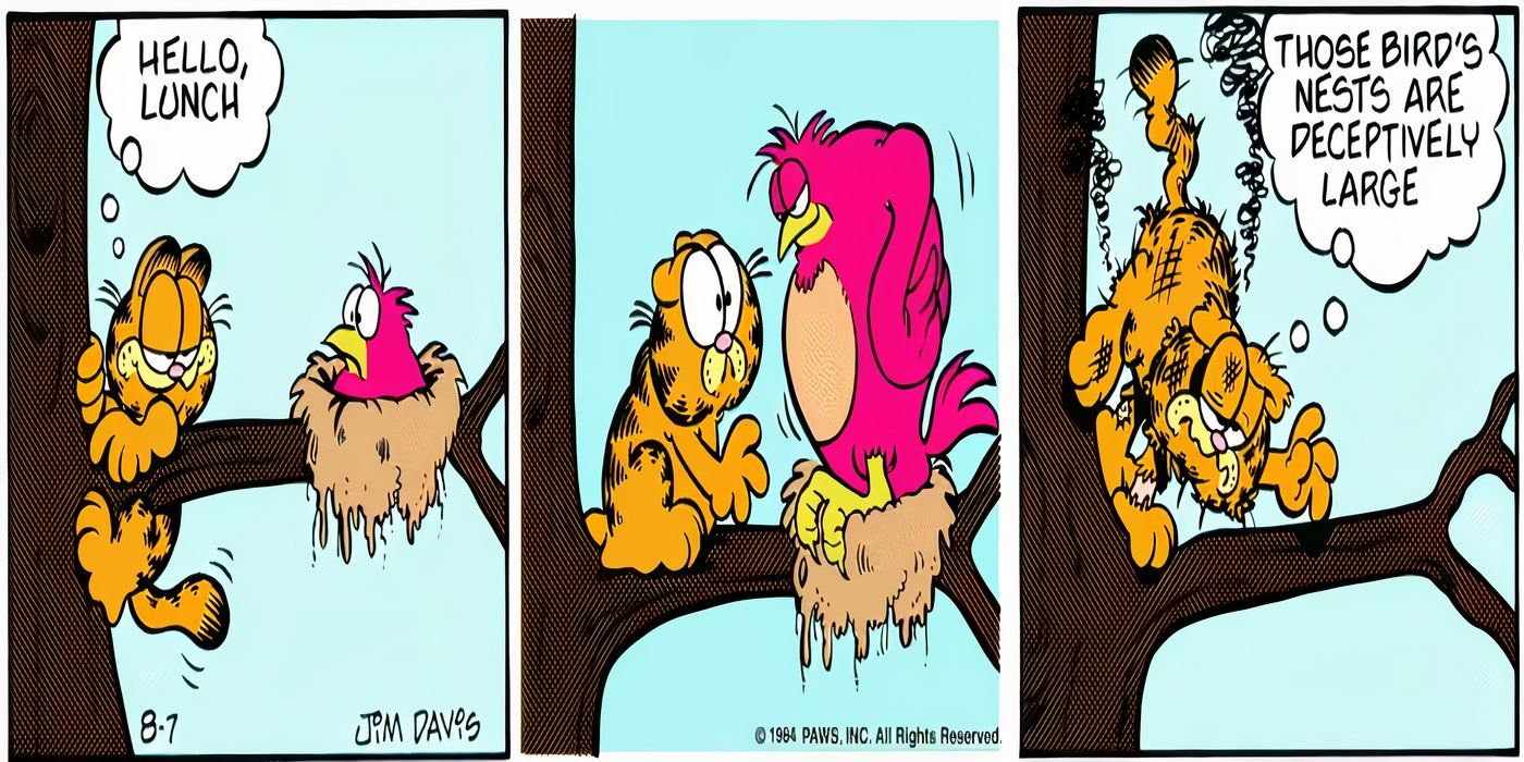 Garfield attacca briga con un uccello molto più grande di lui.