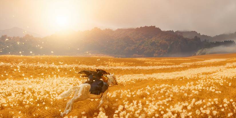Ghost_of_Yotei_GoldenHorse_Field-1