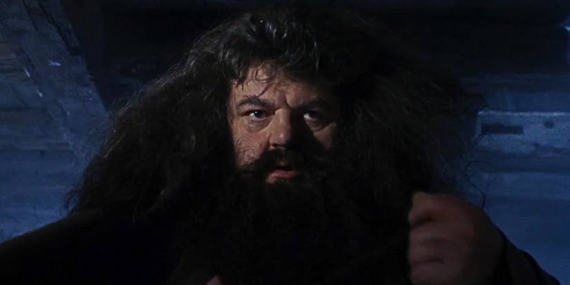 Hagrid's First Encounter With The Dursleys.