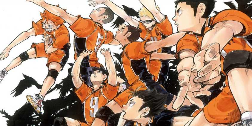 Karasuno in the manga