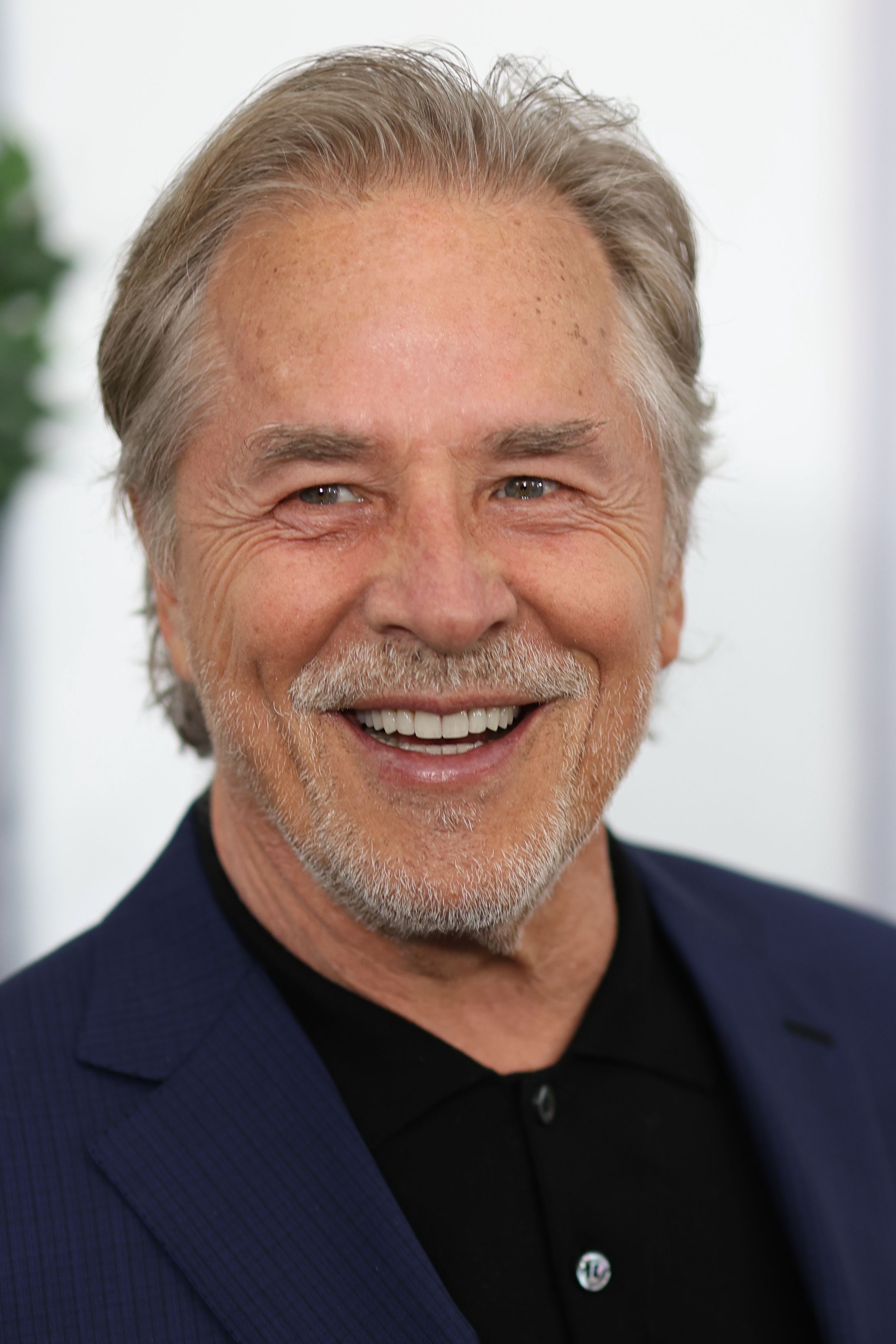 Headshot Of Don Johnson