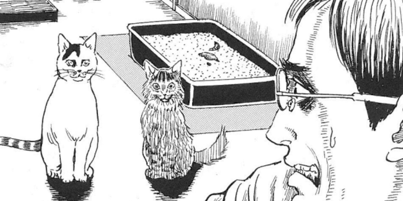 Painel Yon & Mu do Diário do Gato de Junji Ito - Junji Ito 