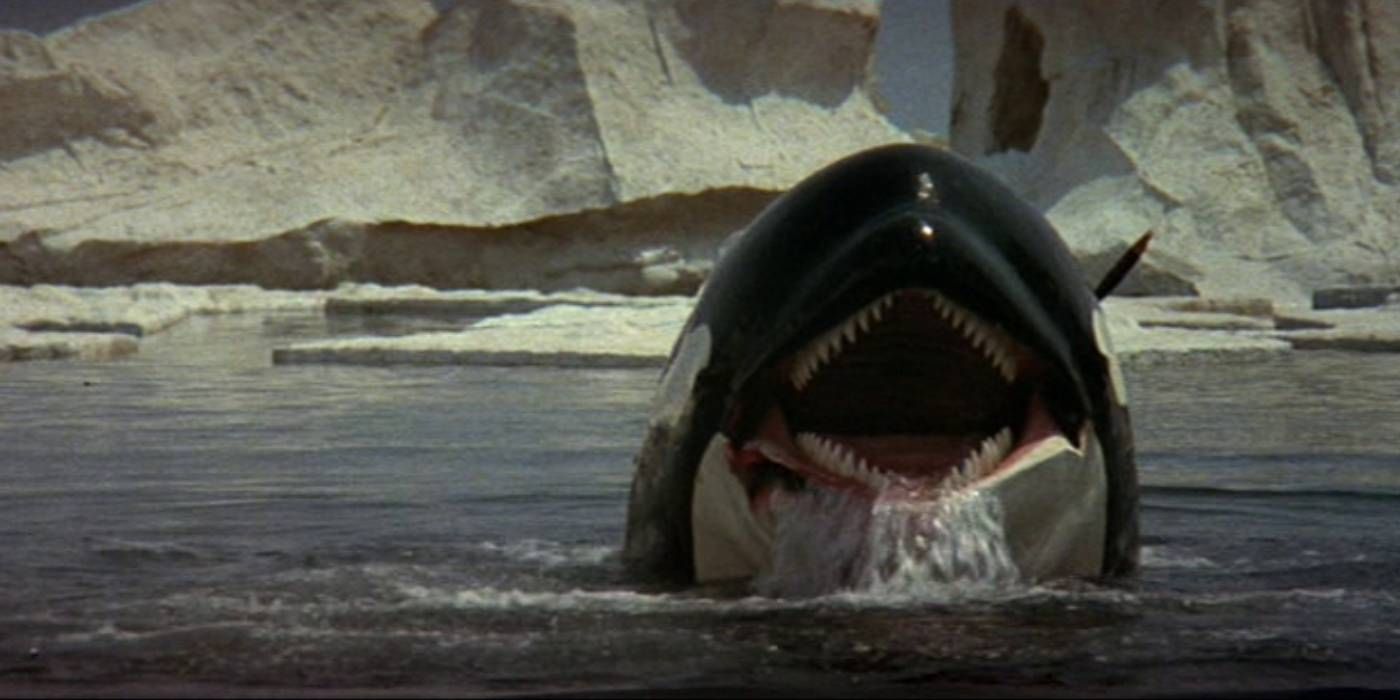 Orca (1977)