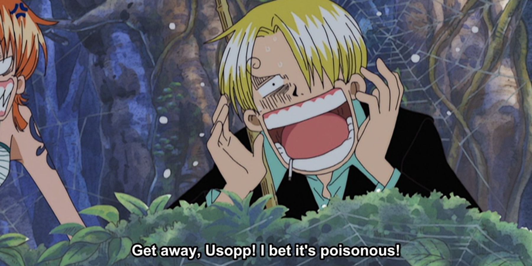 Sanji aconselhando Ussop a fugir dos insetos enquanto ele está com medo