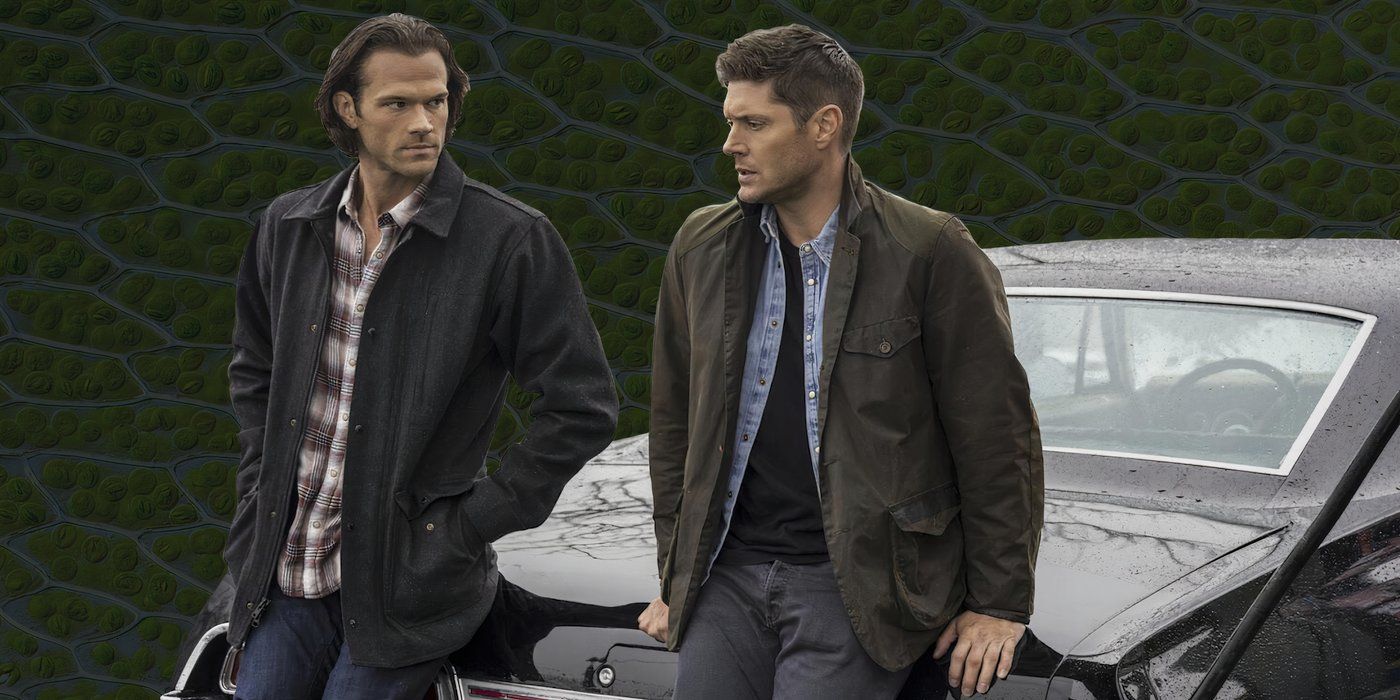 Supernatural's Sam and Dean sit in the Impala