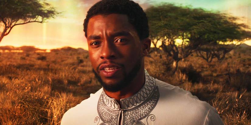 T'Challa telling his ancestors they were wrong in Black Panther