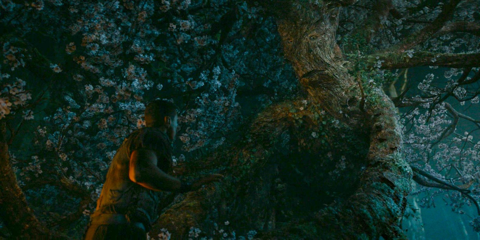 Arondir explains to the giant trees that they do not want to harm them in The Lord of the Rings: The Rings of Power Season 2 Episode 4