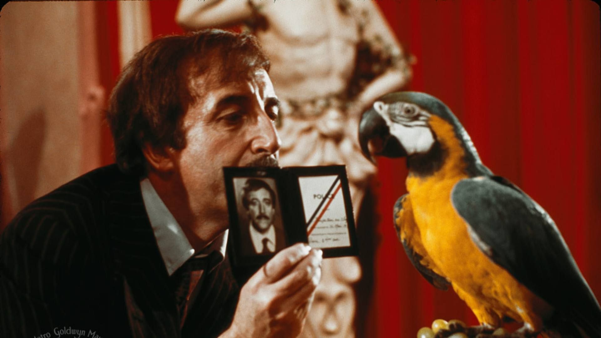 The Pink Panther Strikes Again Summary, Trailer, Cast, and More