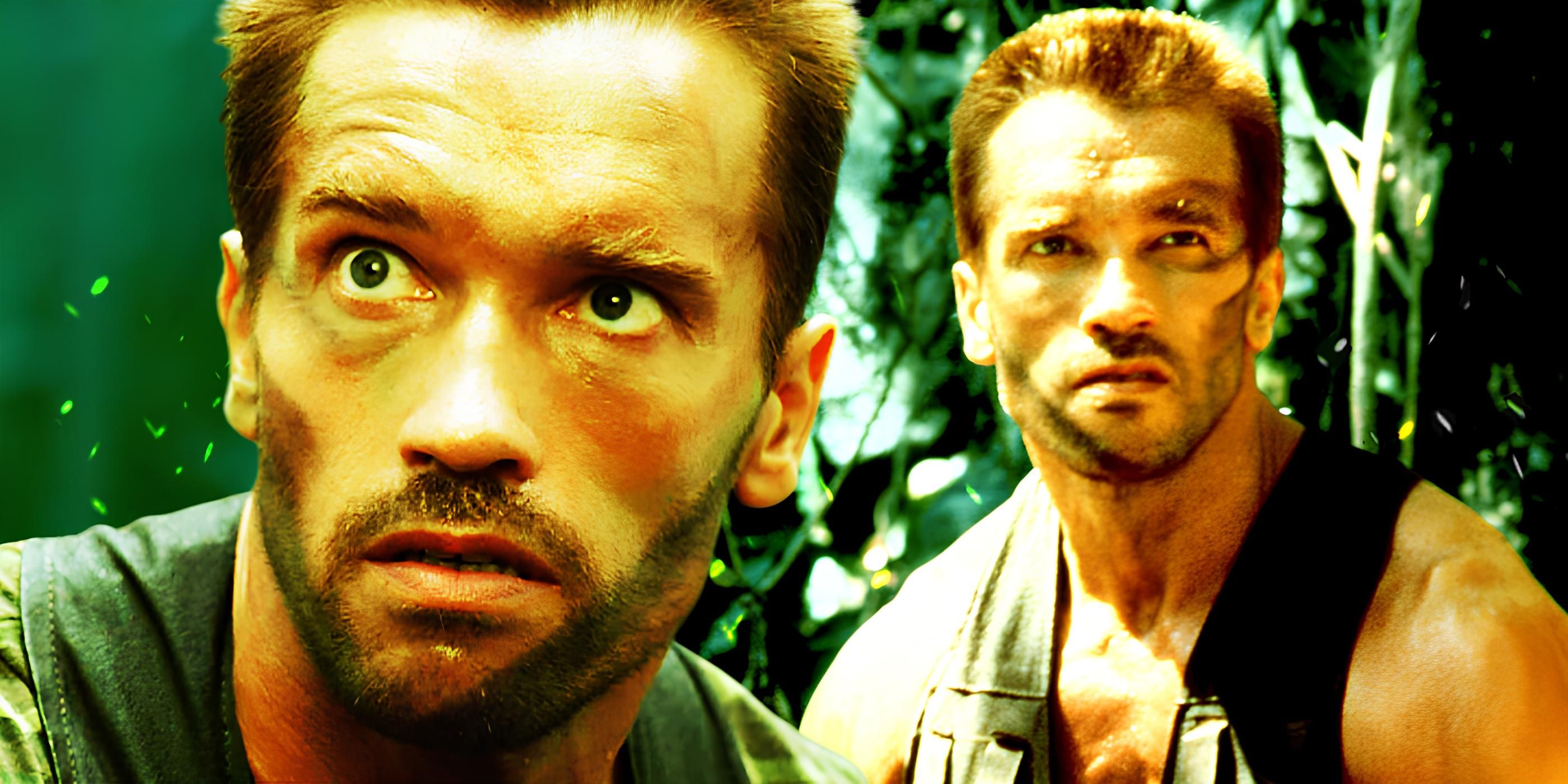 This Mind-Blowing Predator Theory Totally Changes How I See Arnold ...