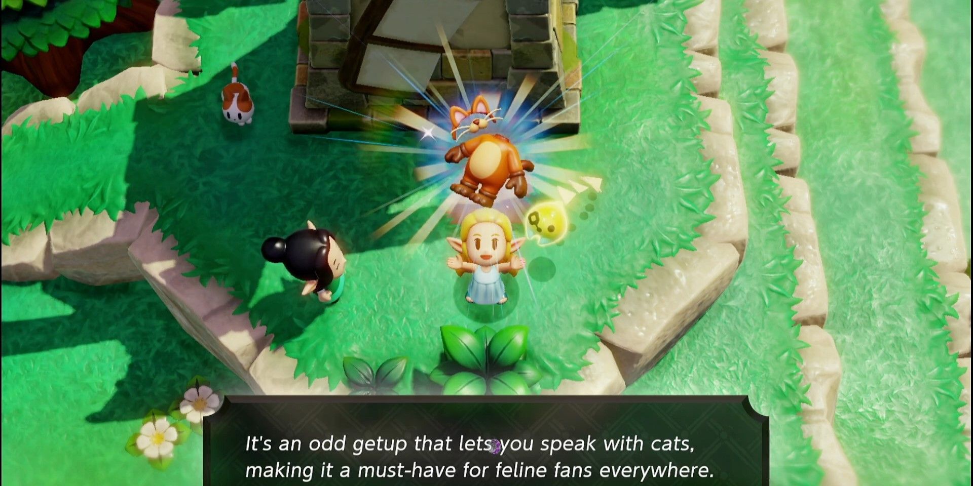 10 Zelda: Echoes Of Wisdom Side Quests You'll Definitely Want To Do ASAP