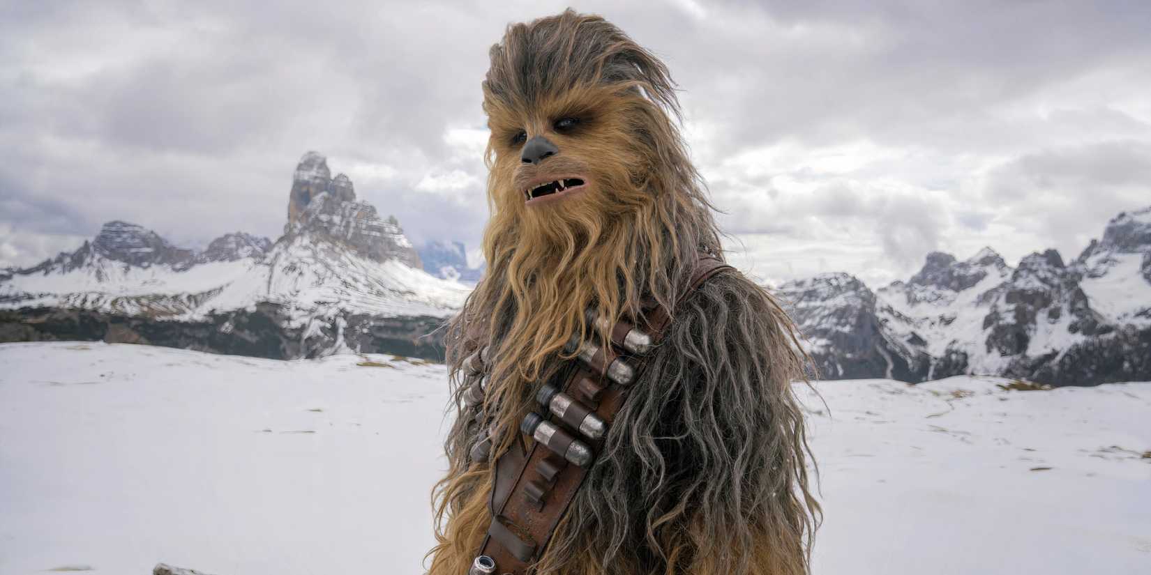 Chewbacca looking confused in Solo: A Star Wars Story
