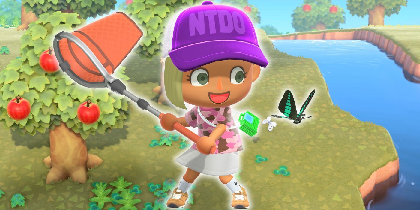 Longtime Animal Crossing Player Discovers They've Been Catching Bugs Wrong This Entire Time