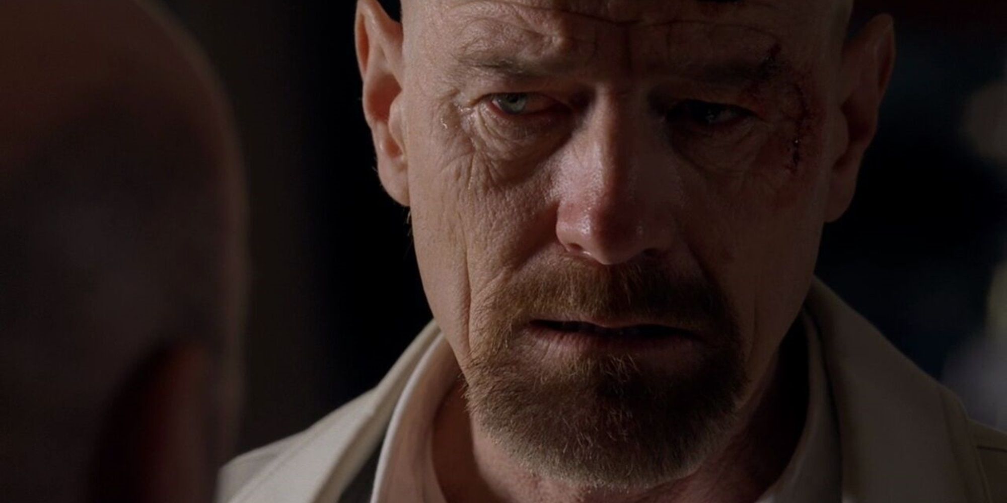 Breaking Bad: How Walt Actually Poisoned Brock