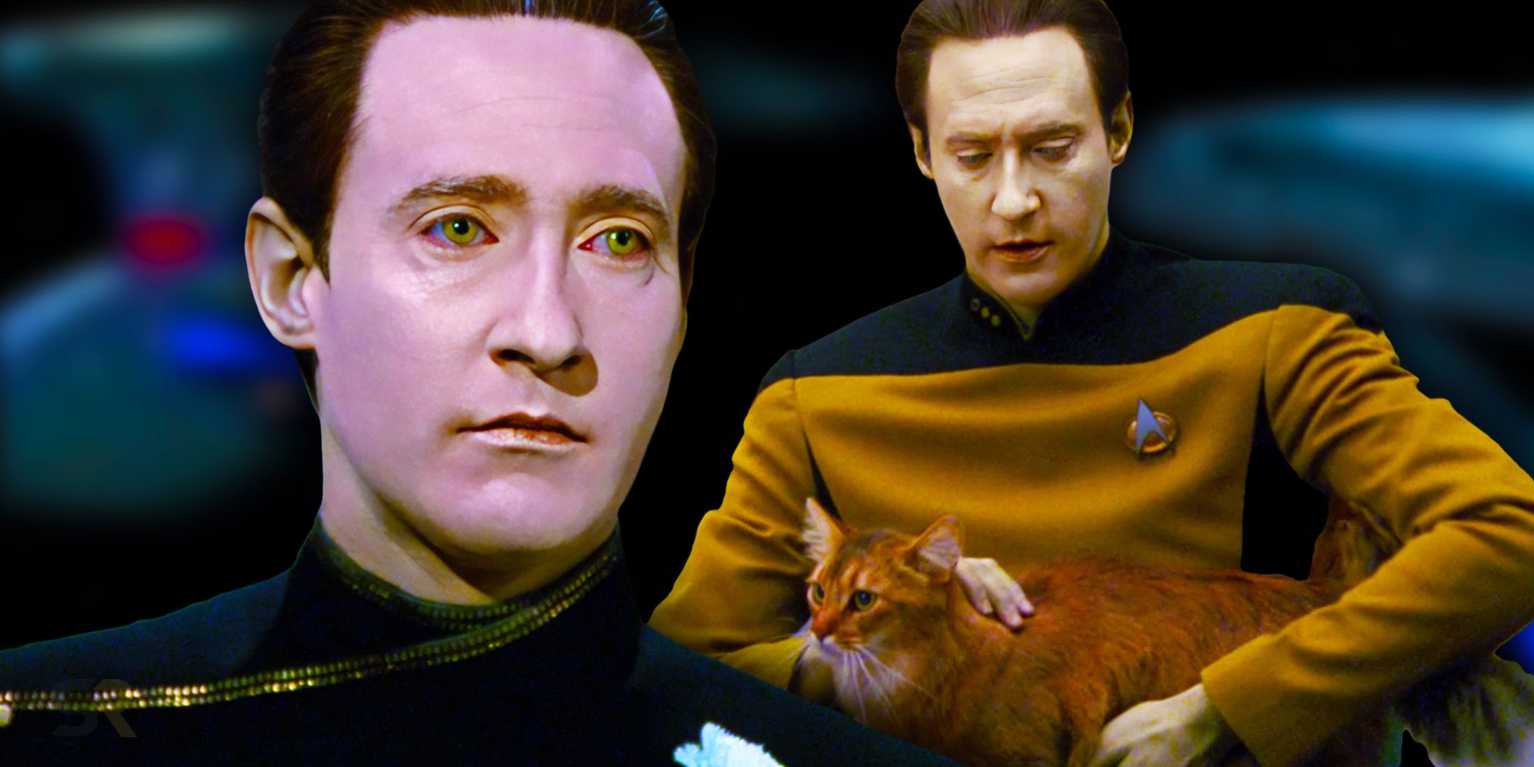 El amor de Data por los gatos en Star Trek tiene un giro irónico en la vida real