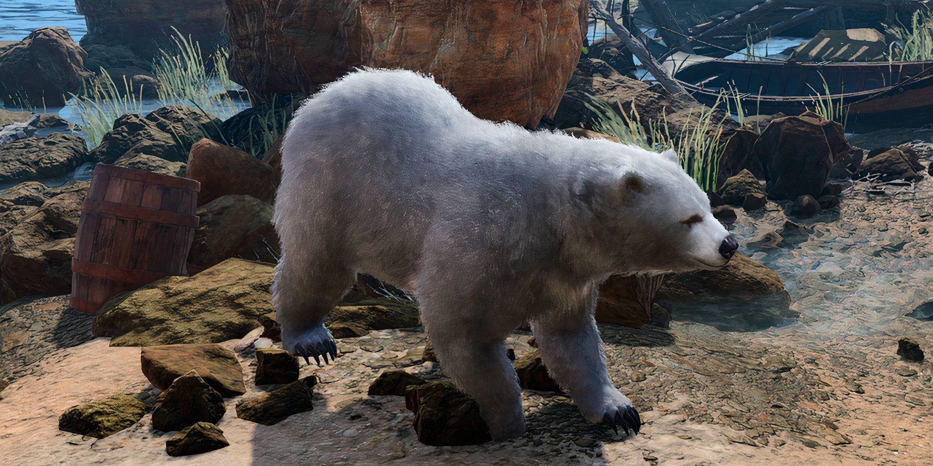 Urso polar Wild Shape caminhando em Baldur's Gate 3