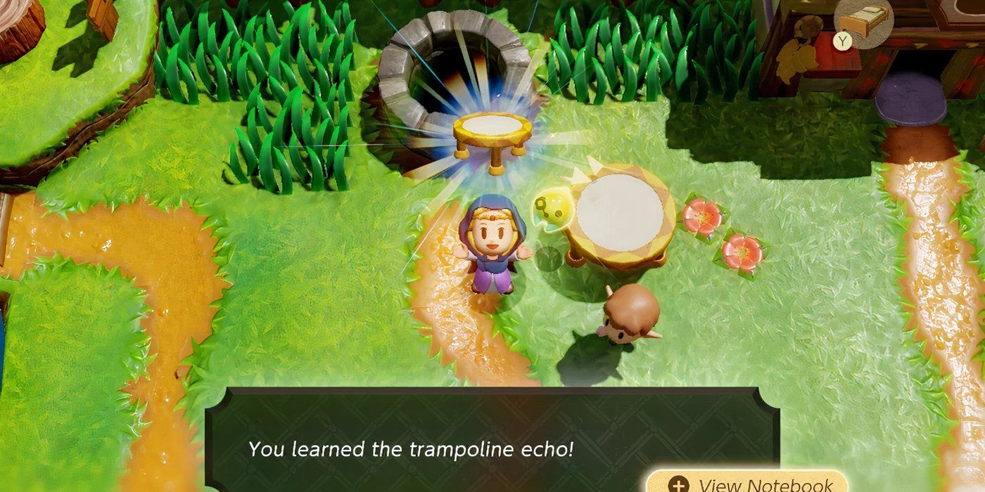 The Legend of Zelda: Echoes of Wisdom - 10 Best Echoes For Traversal