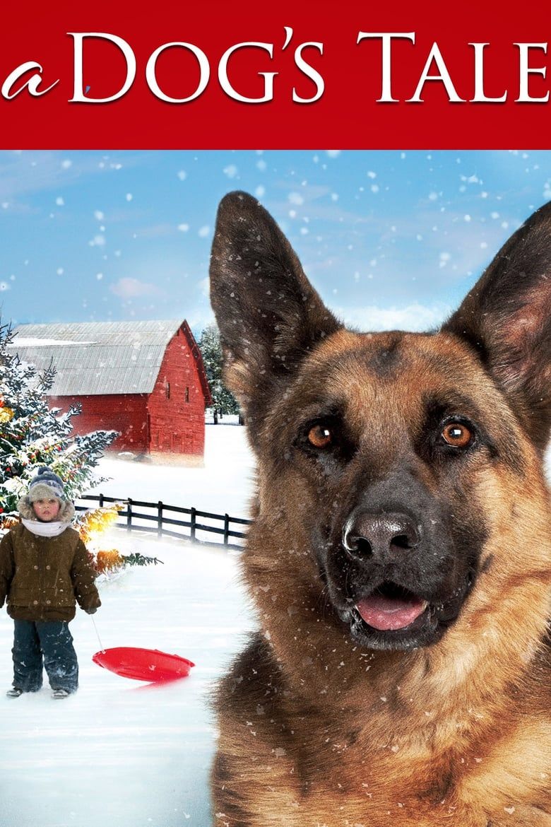A Dog's Tale Summary, Latest News, Trailer, Cast, Where to Watch and More