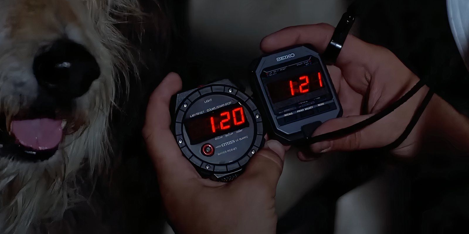 I Only Just Noticed This Genius Back To The Future Detail Now, Almost 40 Years Later